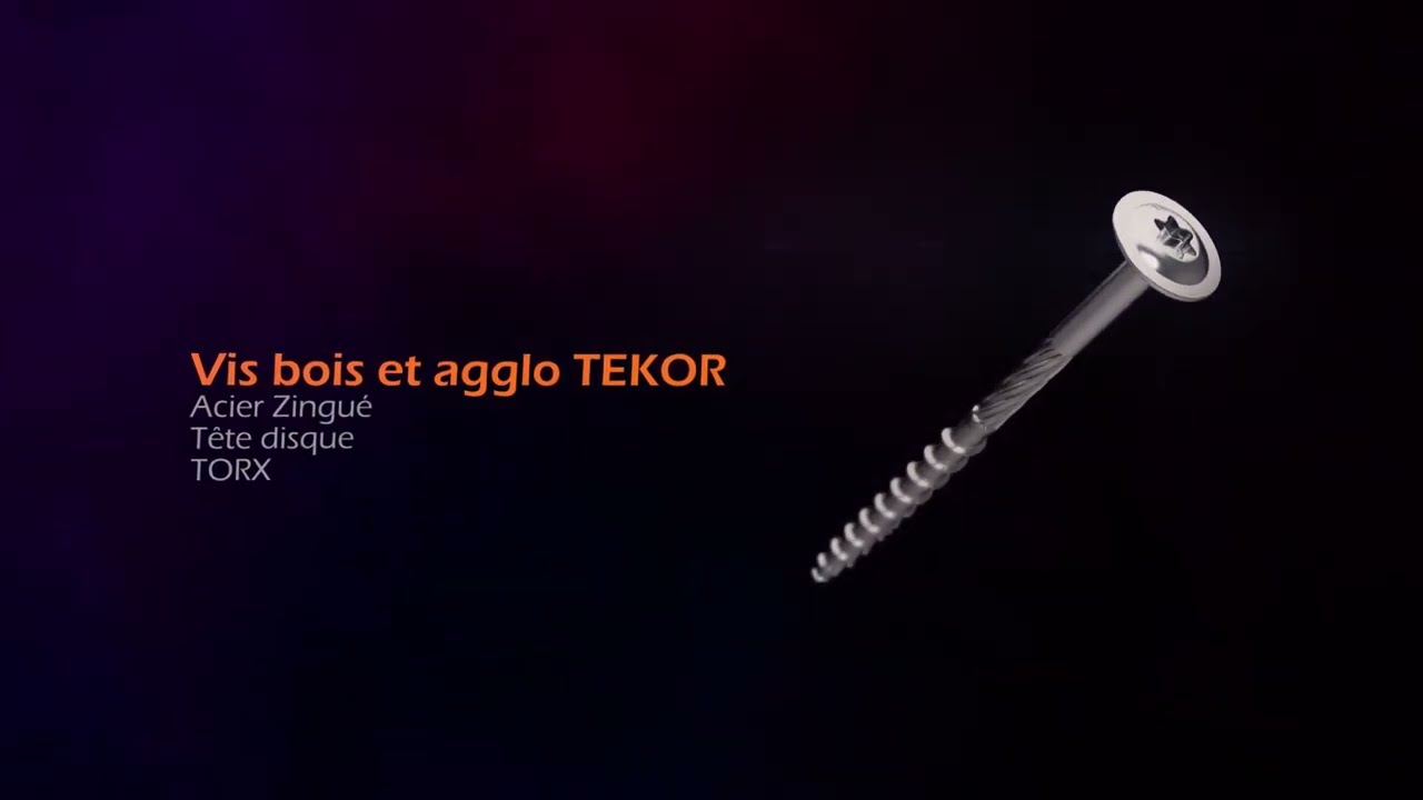 Vis bois TEKOR T&ecirc;te disque TORX Pointe antifendage cut type 17