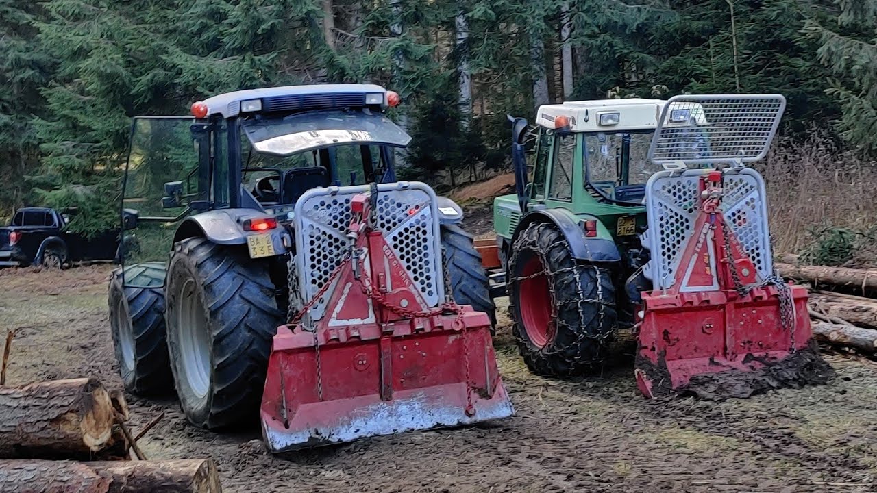 🌲K&auml;ferjagd hat begonnen🌲|Forstarbeit Extrem  | Lamborghini & Tajfun |