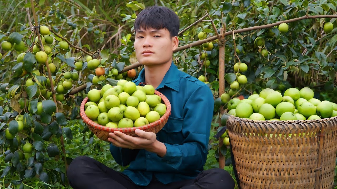 Harvesting vegetables, Apple orchard, Bring to market to sell
