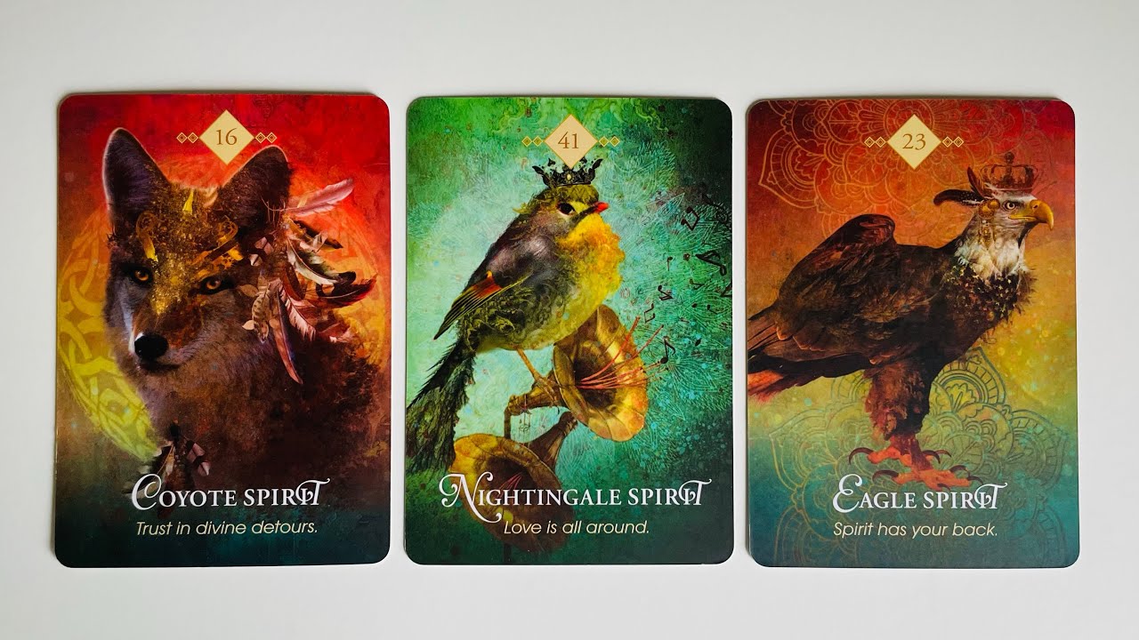 What They Think When They Think of You - Pick a Card - Timeless Tarot