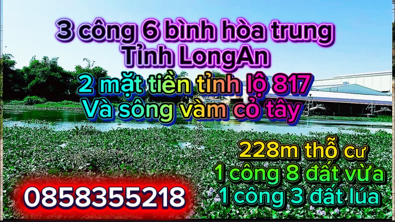 3 công 6 2 mặt tiền sông vàm cỏ tây và tỉnh lộ 817 thích hợp làm nhà vườn nghỉ dưỡng lh0858355218