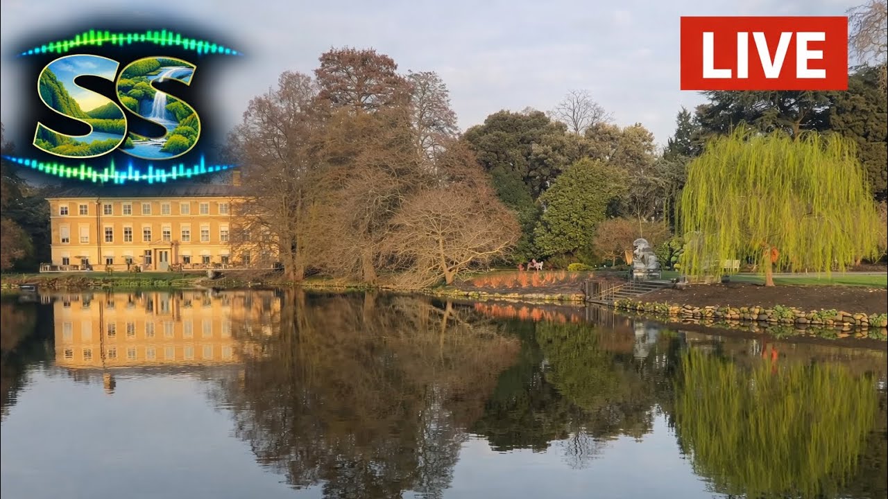 Surrounding Sounds - Kew Lake (Kew Gardens) #calm #nature #kewgardens #calmnessinmotion 