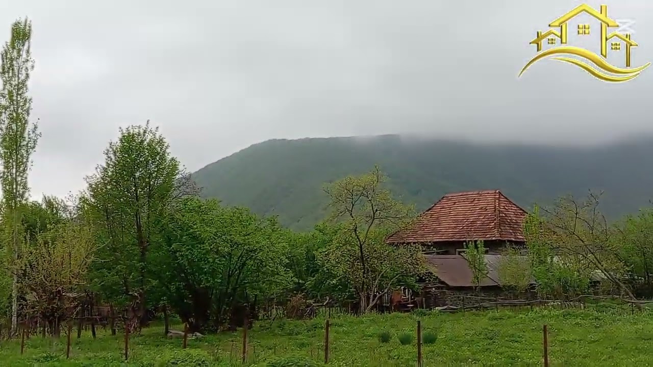 ||5 sot torpaq satılır|| Münasib qiymət. 📍Ünvan Qaxbaş #evalqisatqi #qaxemlakmutexessisi