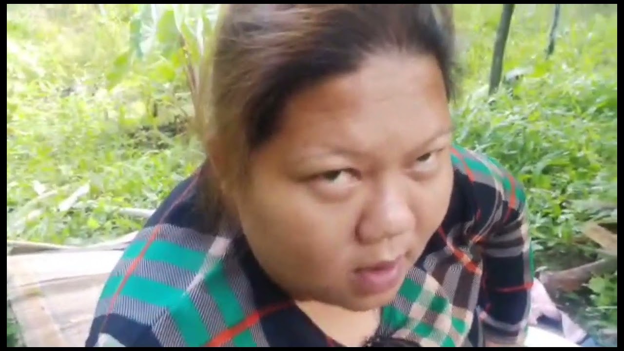 Nurun ke kebun pg tok 