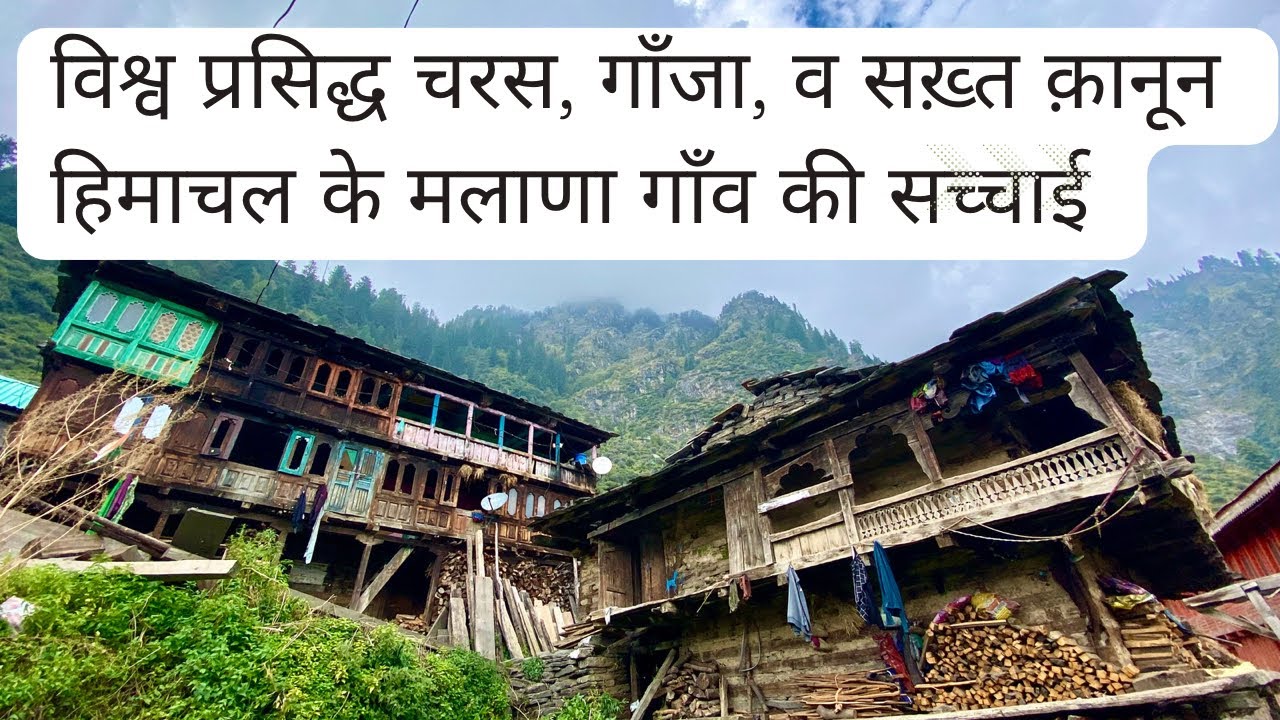 Reality of the Hash Village Malana, Kasol | Malana Village World’s Oldest Democracy| The Young Monk|