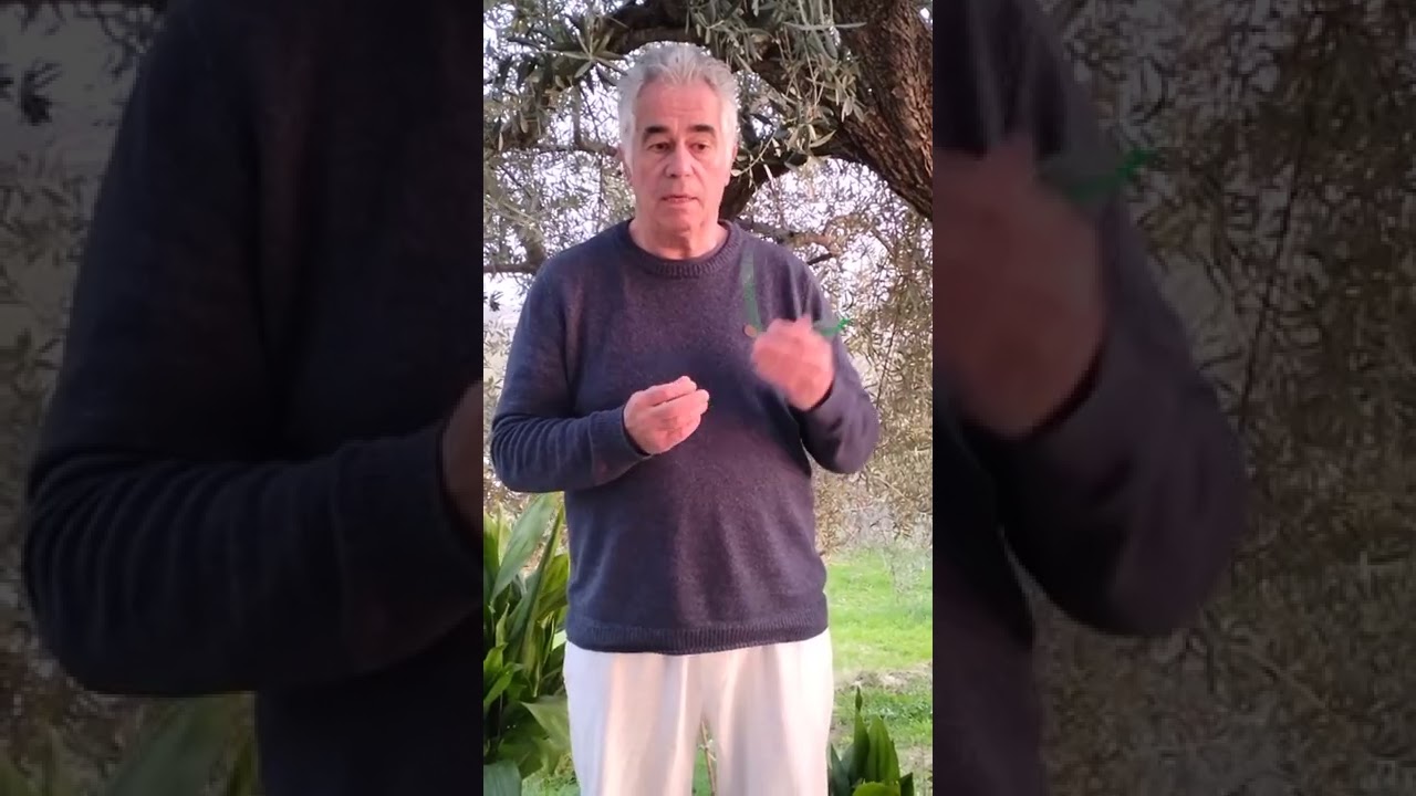 SEI HE KI , Einweihung in den 2. Reikigrad