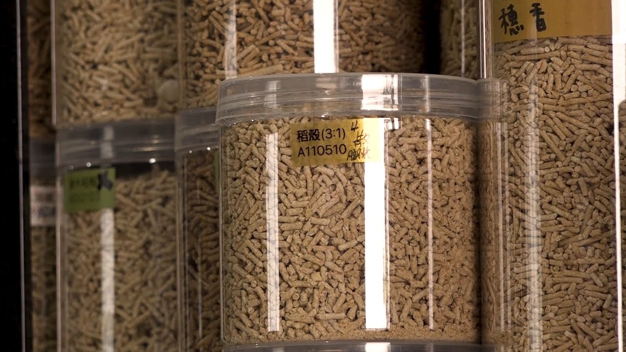 變廢為寶 稻殼變貓砂