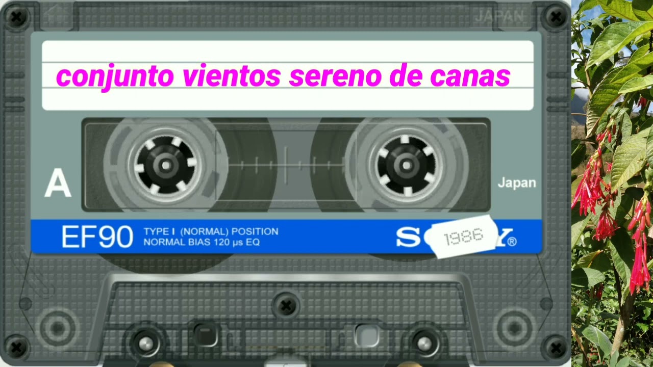 VIENTO SERENO DE CANAS 1986  A