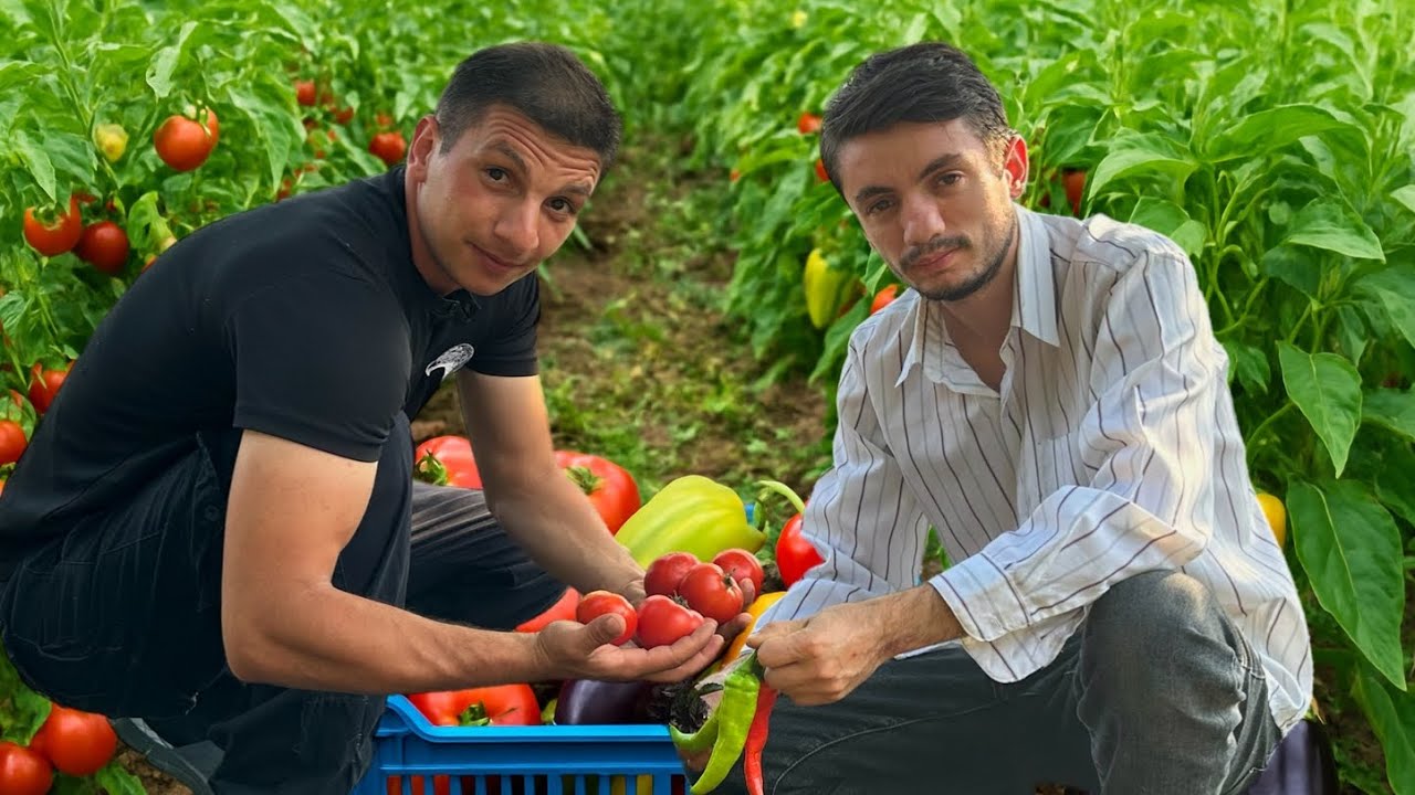 Ən Dadlı 4 Bacı Dolması – Qəbələ Kəndindən Xüsusi Resept