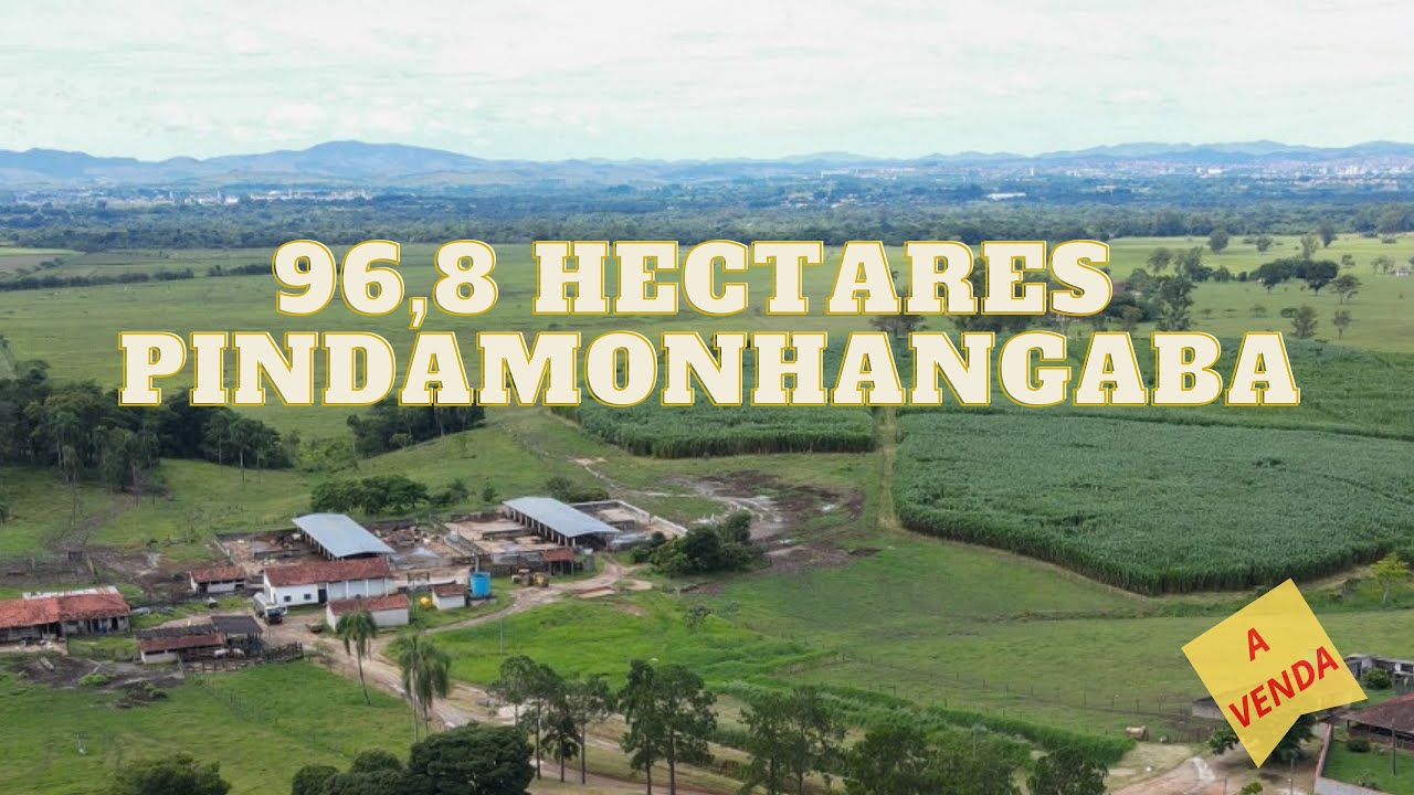 (PORTEIRA FECHADA) Fazenda 96,8 hectares em Pindamonhangaba-SP