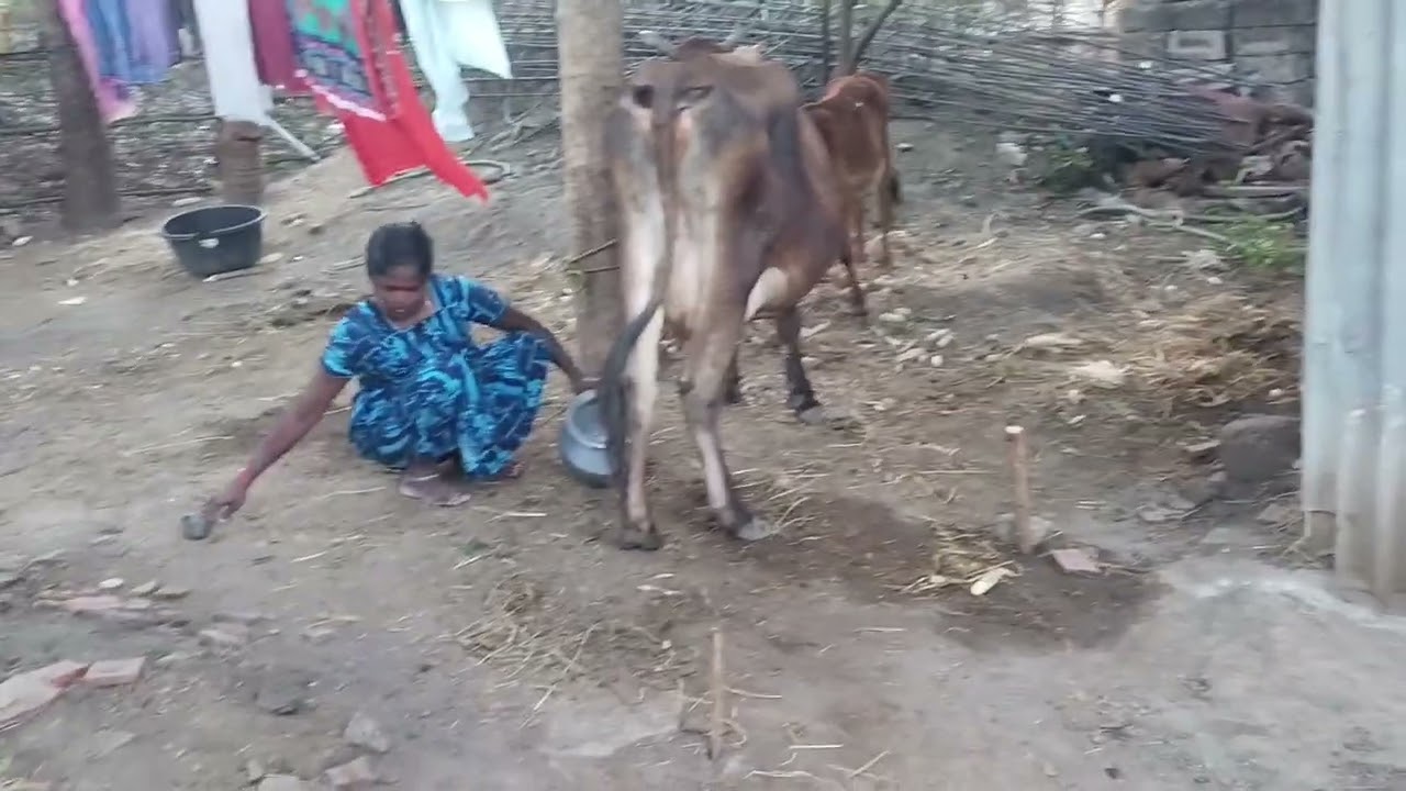 ரொம்ப நாள் கழிச்சு இருந்தாலும் ஒரு பயம் தான்#subscribe 