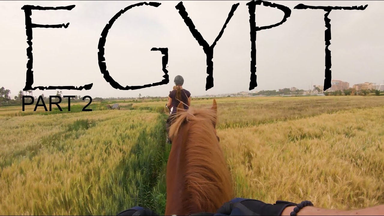 Horseback Riding by the Nile!! // Equestrian Vacation in Egypt