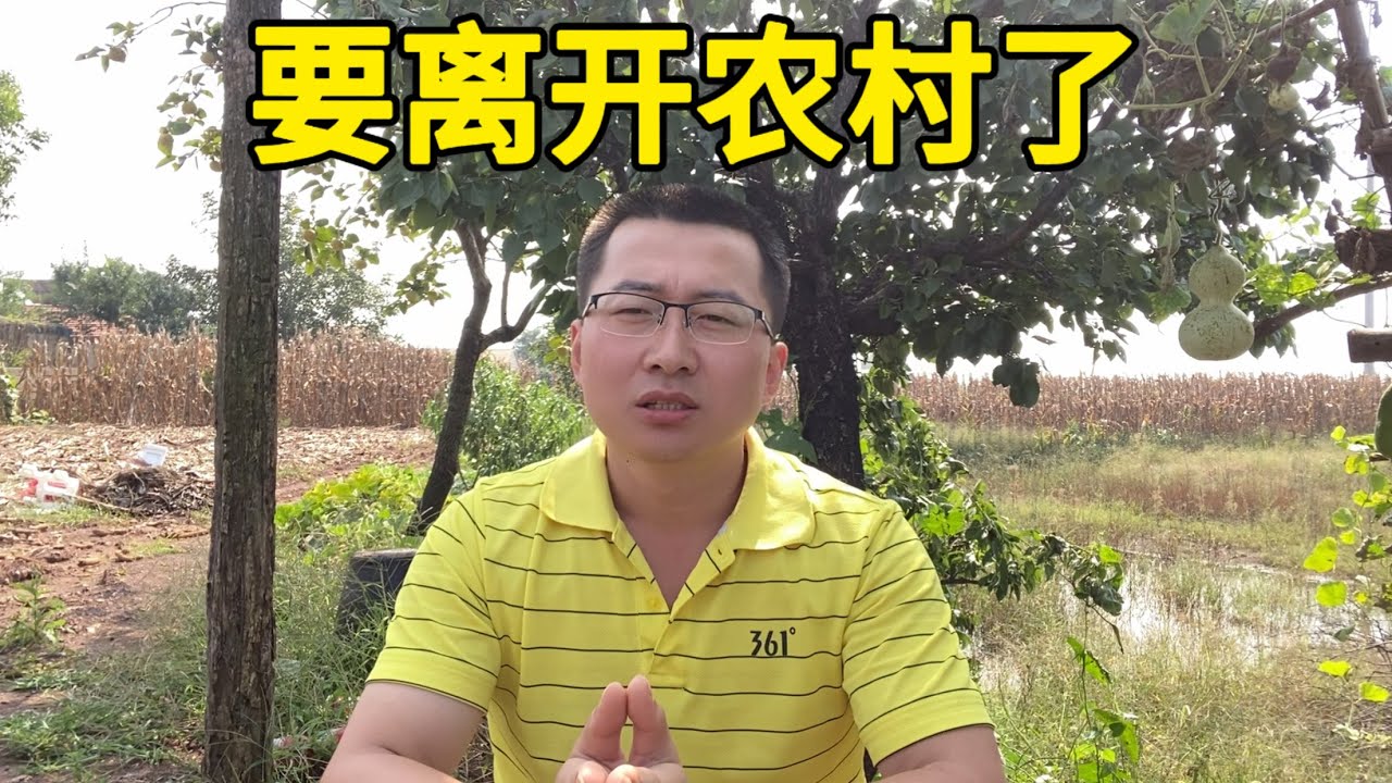 为什么我要离开农村？