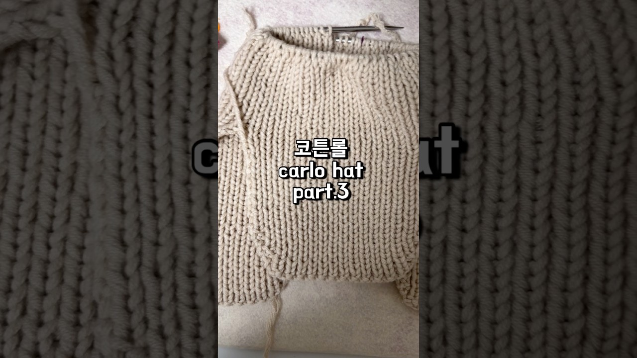 쉽지 않은 완성의 길! 망한 뜨개로그 #뜨개기록 #knitting #carlohat