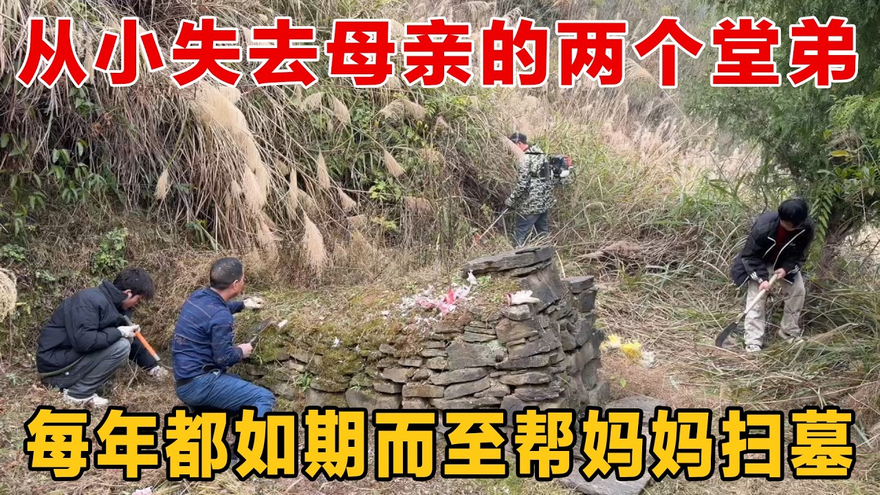 从小失去母亲的两兄弟，每年都会在爸爸的带领下帮妈妈扫墓，十几年从未失约