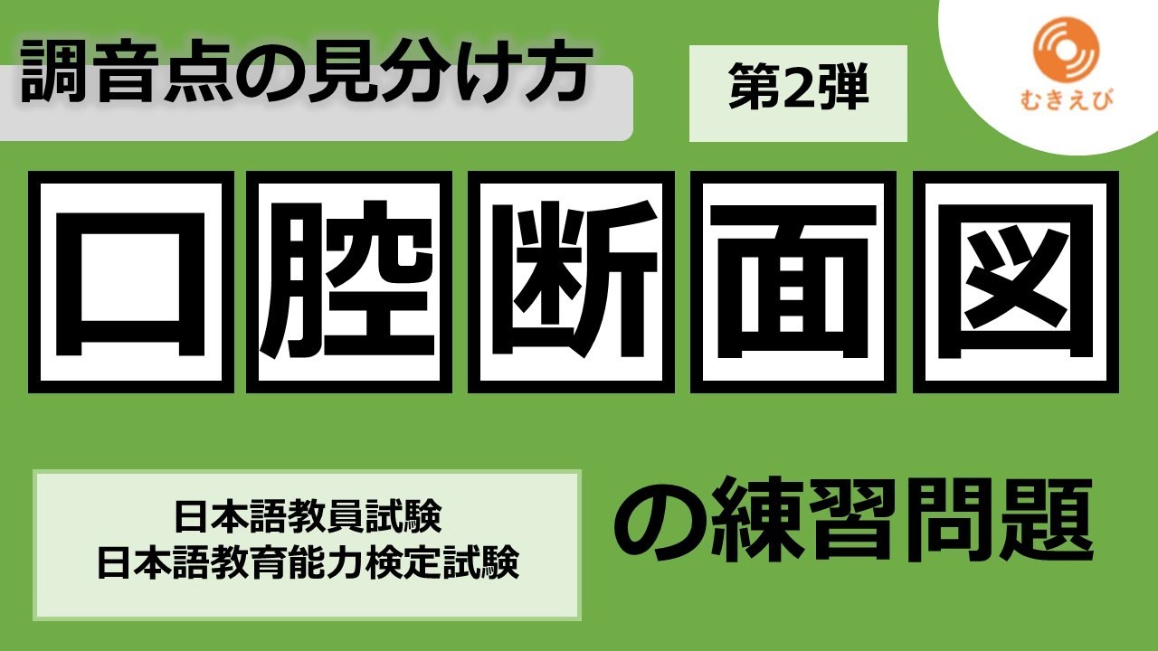 口腔断面図の練習問題② 調音点の見分け方【日本語教員試験・日本語教育能力検定試験】