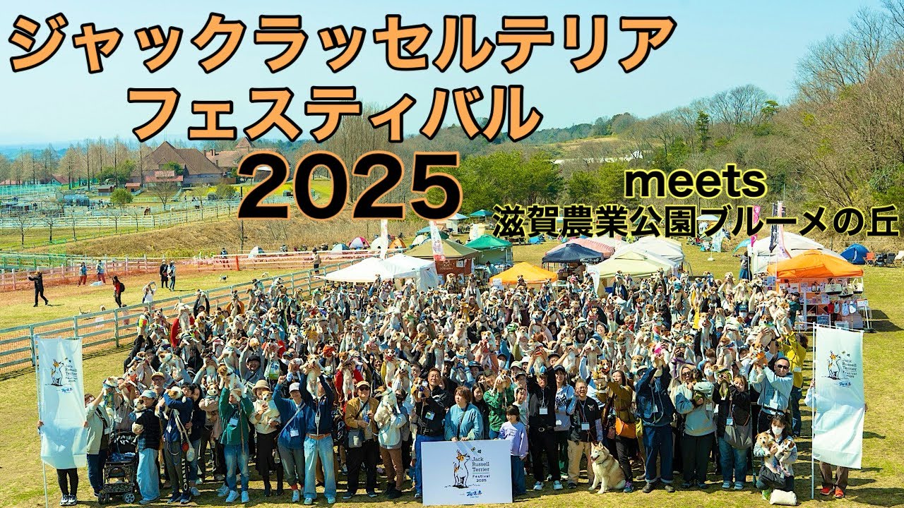 【初開催】ジャックラッセルテリアフェスティバル 2025meets 滋賀農業公園ブルーメの丘