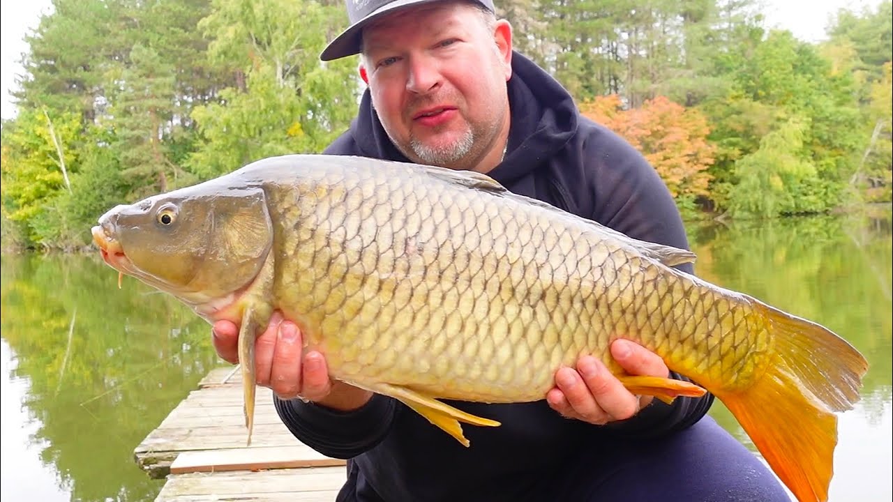 #103 center parcs frankrijk doorgronden deel 4 (slachtsessie..drillaton.. het gaat helemaal los!)