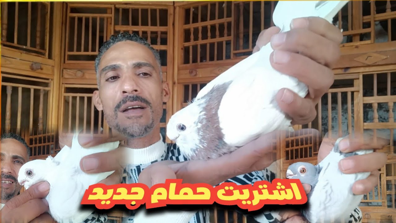 شوف اشتريت اى جديد حمام النش وحمام الزينه#مدرسةالغية