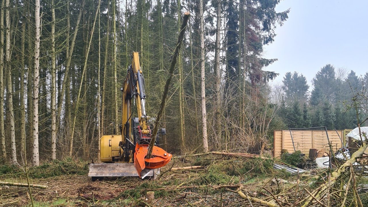 Der Wahnsinn - Keine Ahnung von Baumfällung ! So werden Menschen verletzt! Was ist die Lösung?