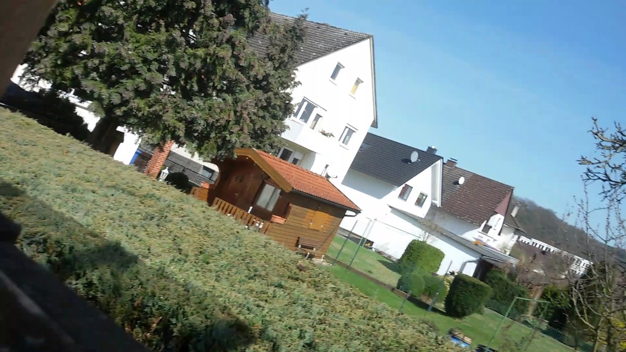 Pfautauben Teil 2