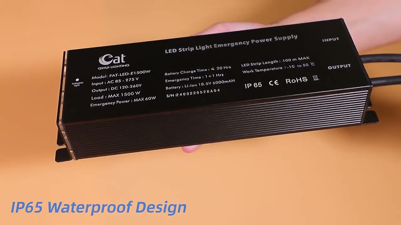 3W-300WLED emergency driver