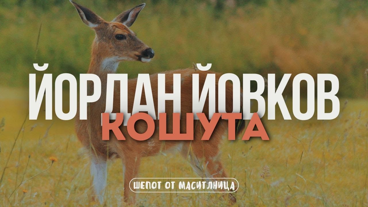 Йордан Йовков - Кошута