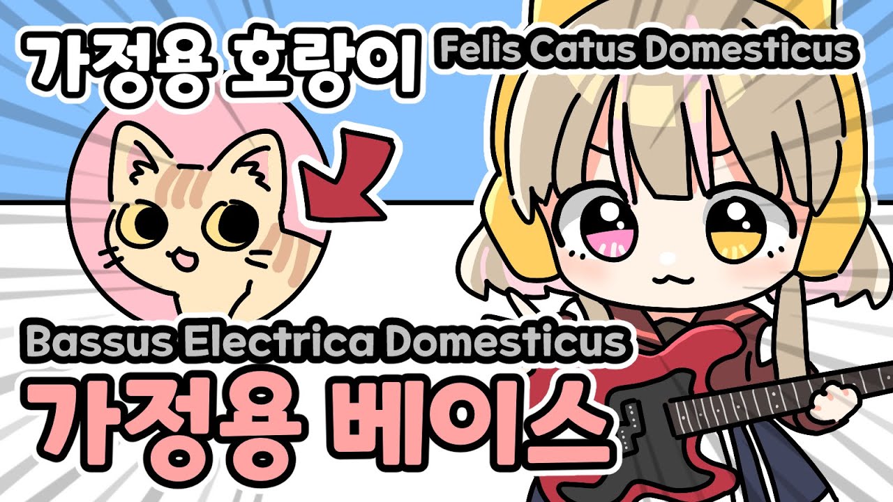 20분 동안 베이스만 치는 영상 (가정용 베이스 산 기념) #PEOZ #vtuber #bass