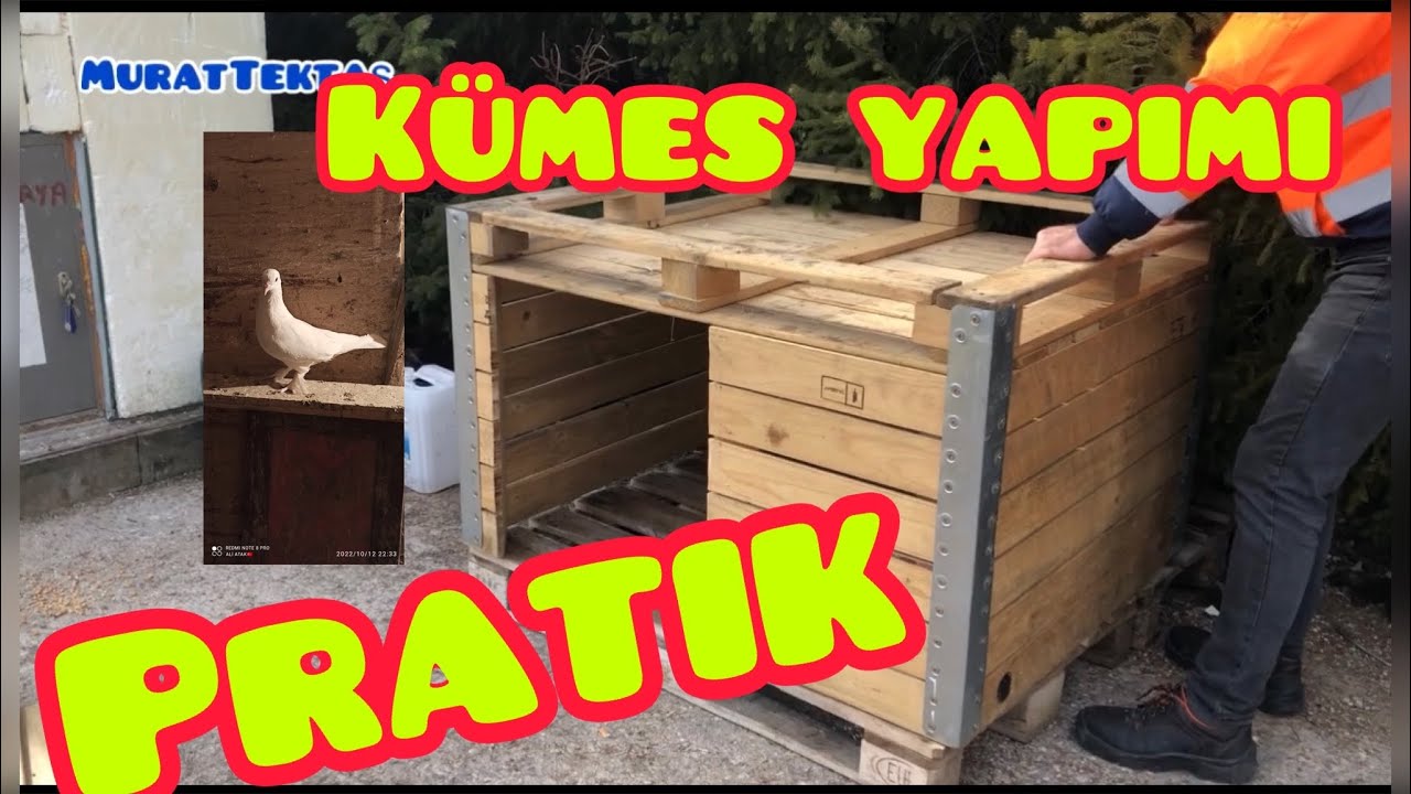 Paletlerden Güvercin Kümesi Yapmak,10,000 ABONE Olurmuyuz