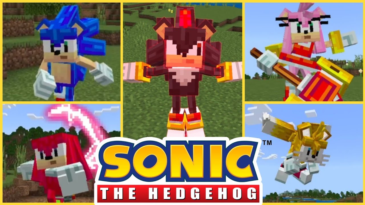 Minecraft Sonic The Hedgehog Add-On - All Characters and Abilities