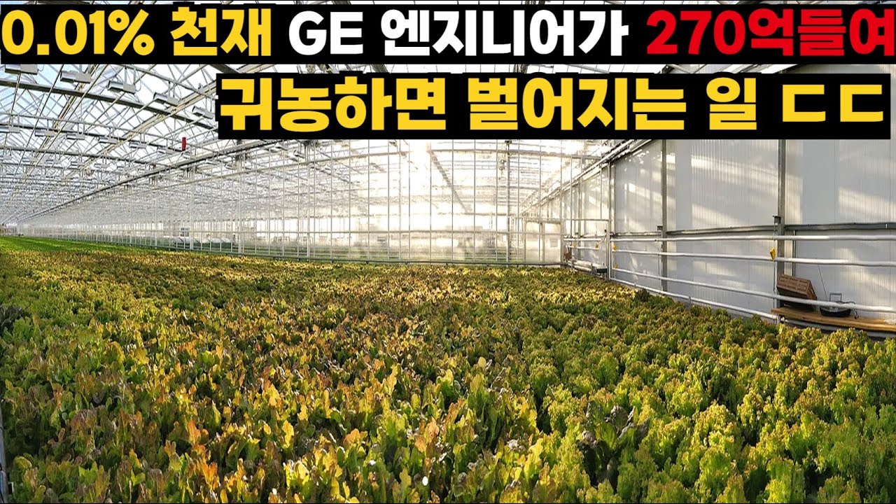 270억 들여 귀농한 GE 천재 엔지니어, 수확량 10배, 365일 채소 3톤 대폭발 ㄷㄷ