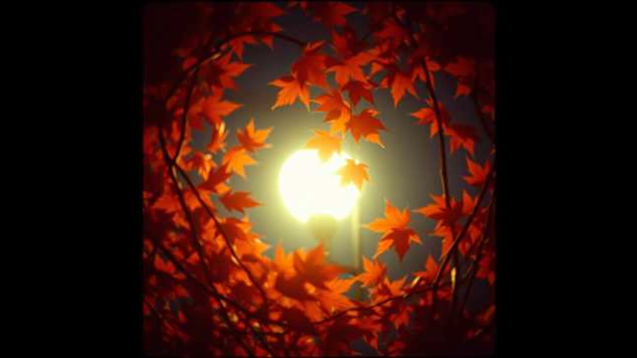 Autumn Whispers