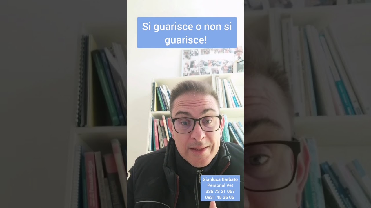 Si guarisce o no dalla leishmaniosi canina?