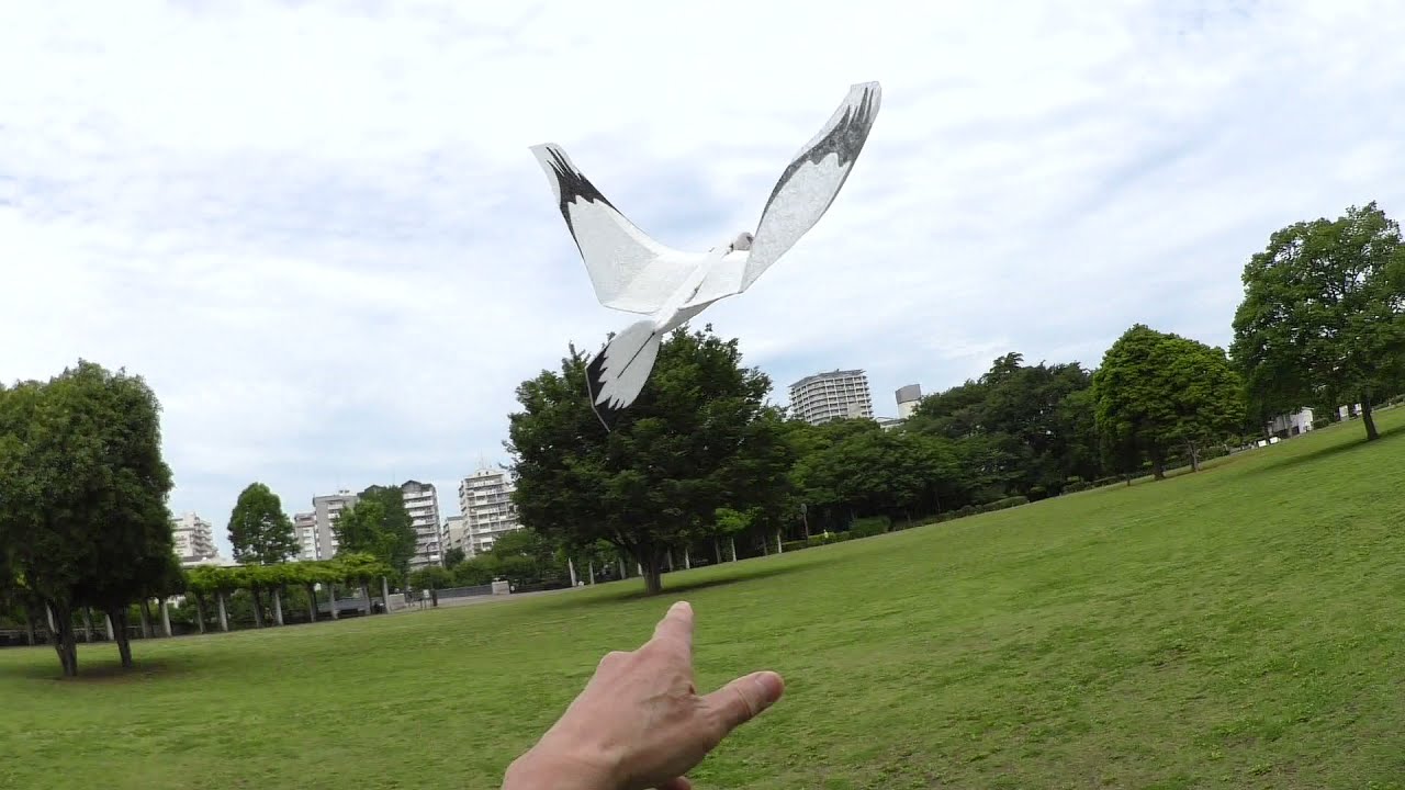Alula type2 ornithopter maiden flight