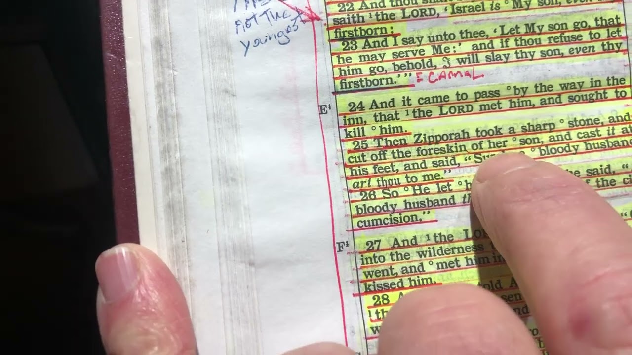 Exodus 4 pt 2 work together ,,,,,