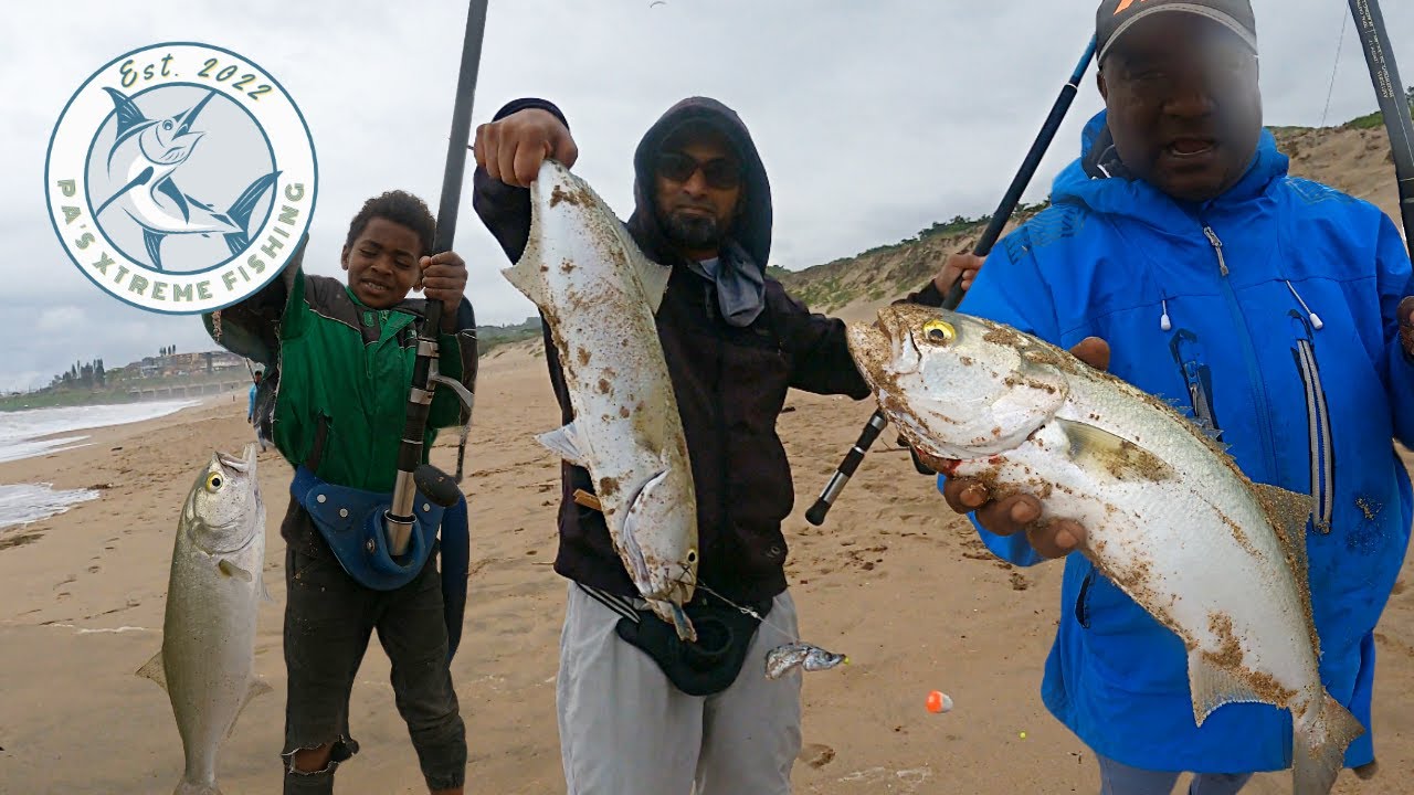 Нацеливание на гигантского алозура в декабре