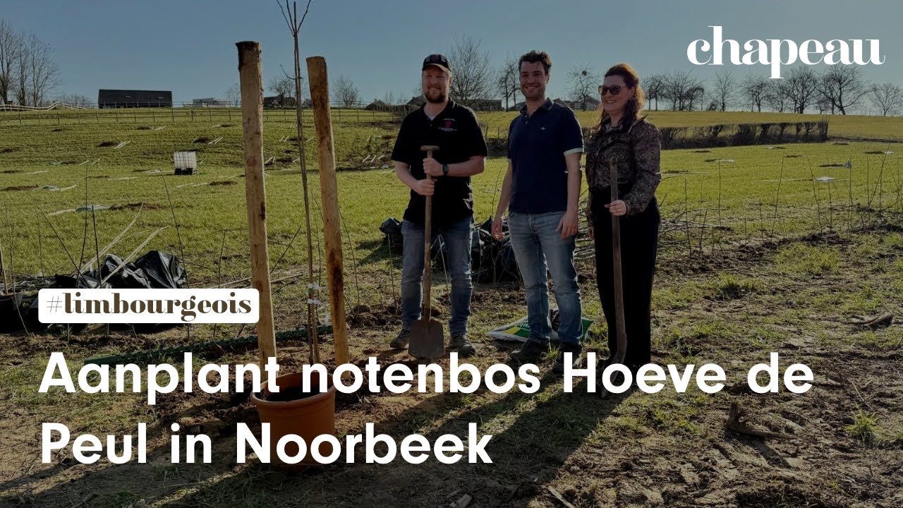 Aanplant notenbos Hoeve de Peul, Noorbeek