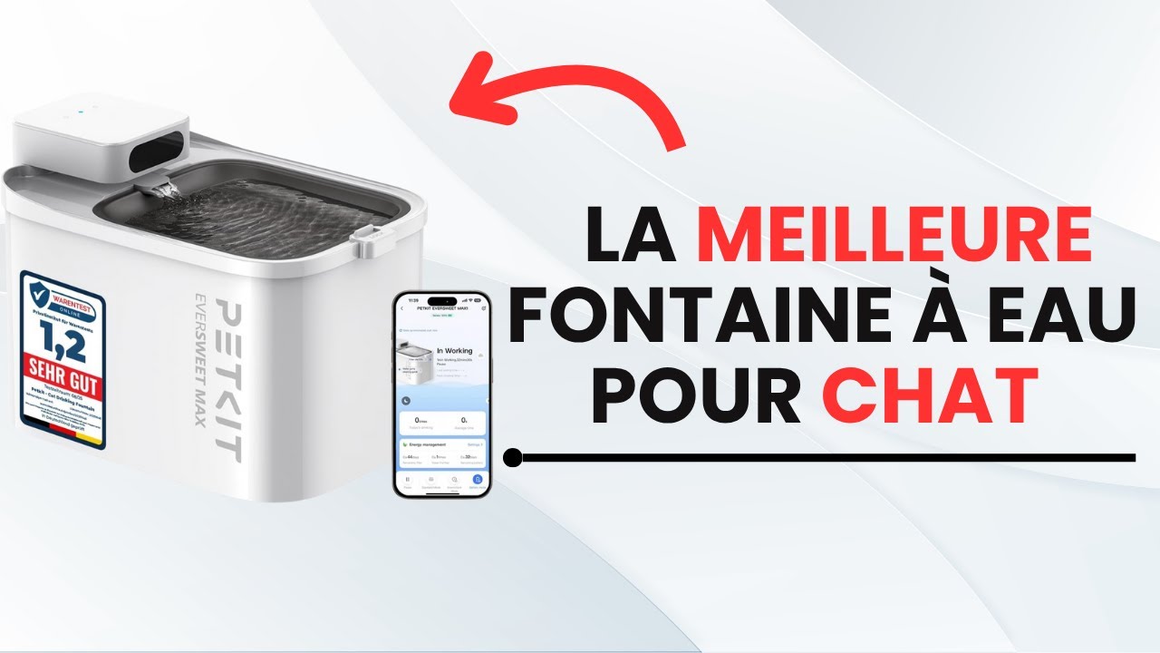 🥇TOP 4 : Meilleure Fontaine à Eau pour Chat 2025