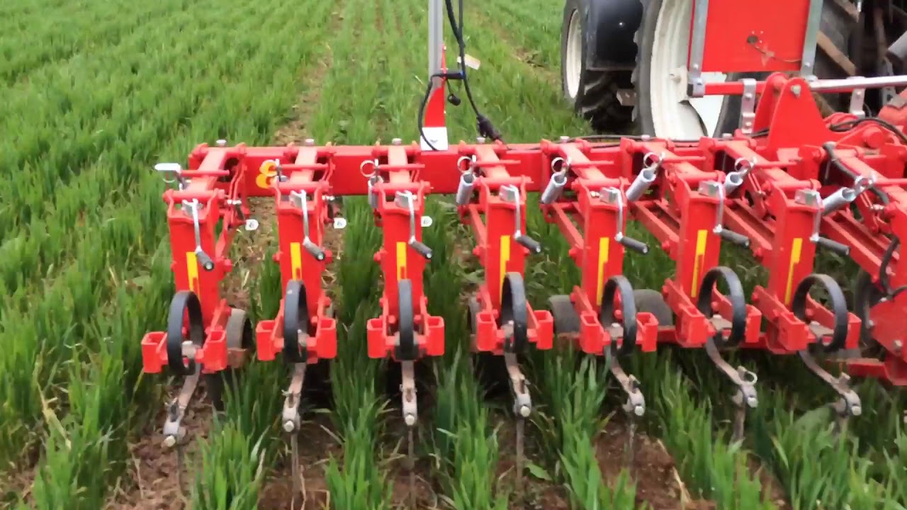 Interow hoeing with Einbock Chopstar