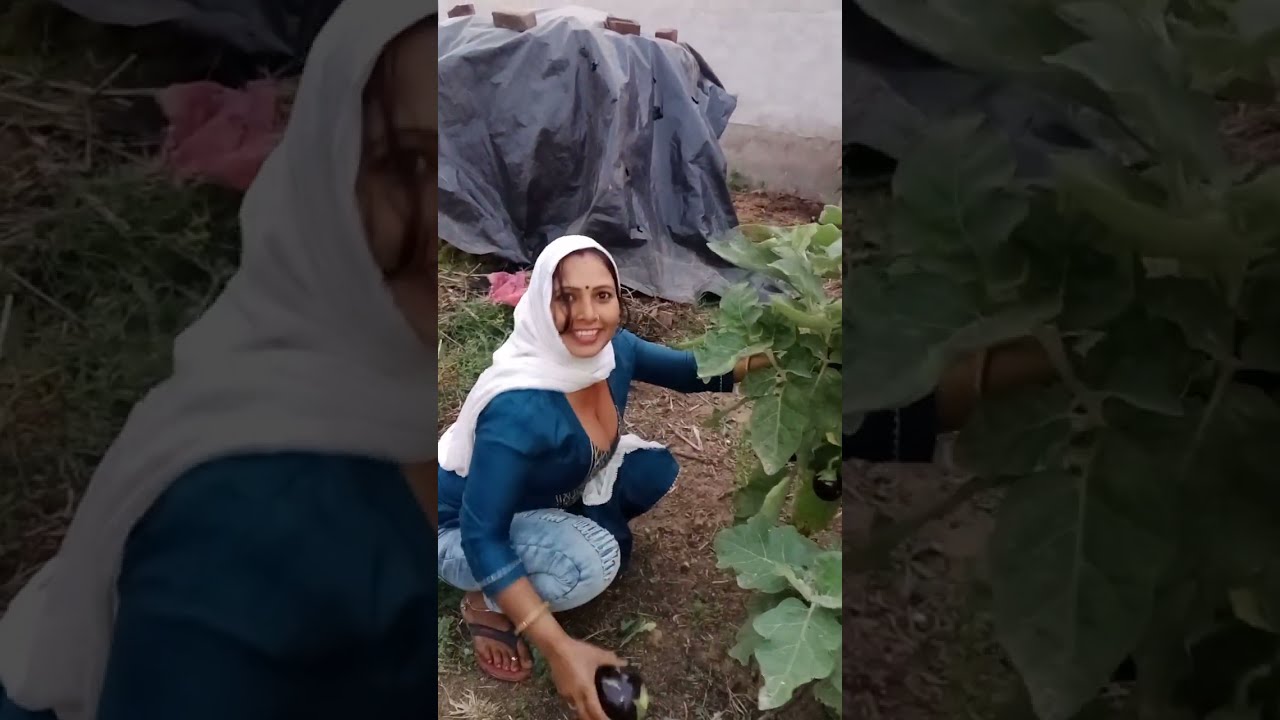 aaj to sabji toodli#desivlogs #villagevlog ||village life tannu yadav desi bahu||