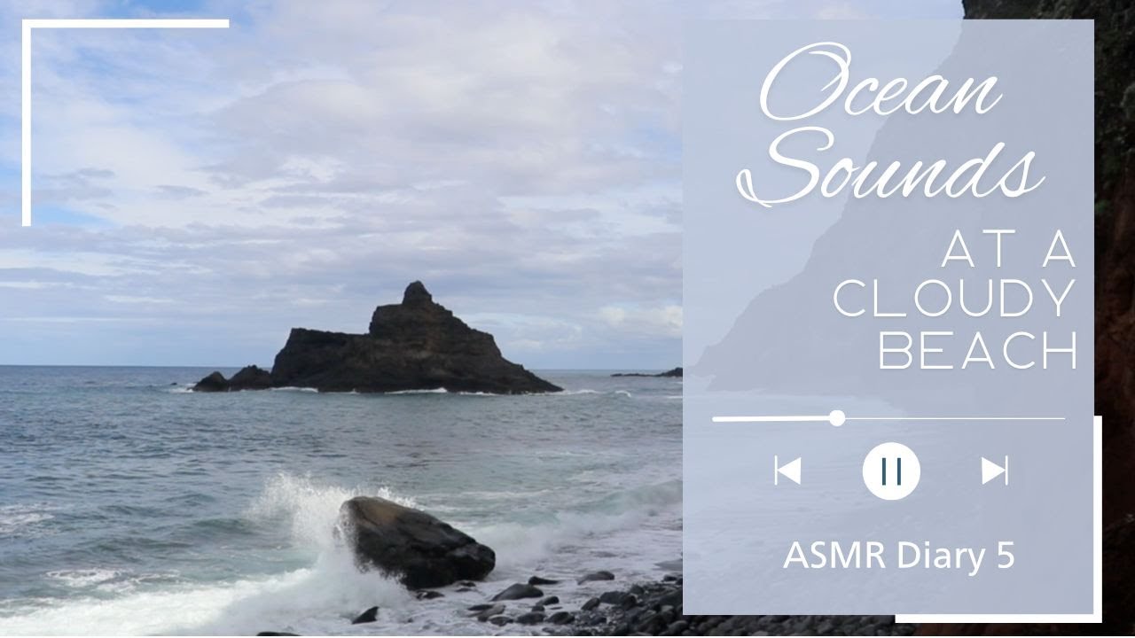 Ocean Wave ASMR - Relaxing Cloudy Sea Day (no audio loops no music) | Sunflowers Shine Diary 1