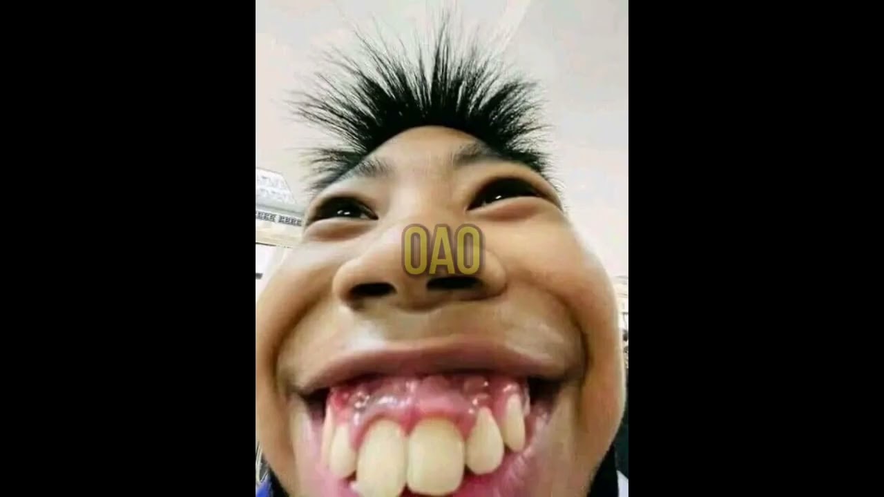 Parte 2 - Se voc&ecirc; rir dessas imagens seu humor est&aacute; quebrado 😑.