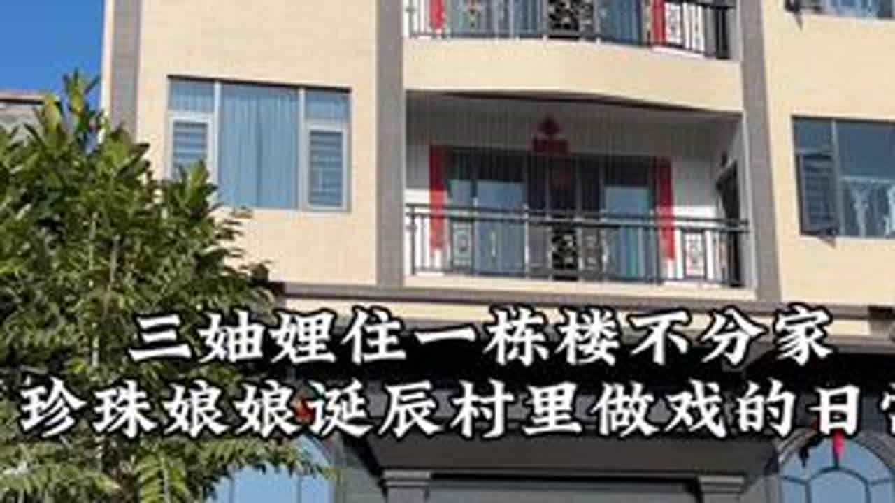 三妯娌住一栋楼不分家，珍珠娘娘诞辰村里做戏的日常#记录真实生活 #妯娌#潮汕#潮汕风俗#Za隔离