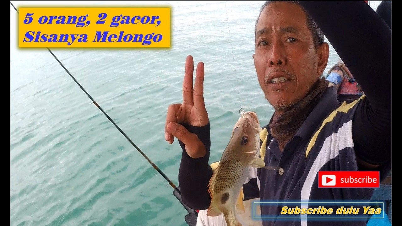 Dari 5 pemancing, 2 gacor lainnya sabar menonton Eps. 40