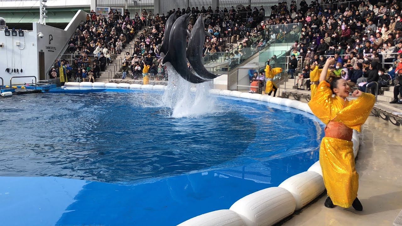 マツケンサンバ水族館@仙台うみの杜水族館(231216)