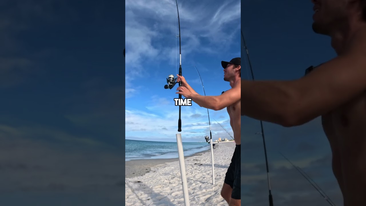 Fishing with Live Bait #fishingvideo #fishing #livebait