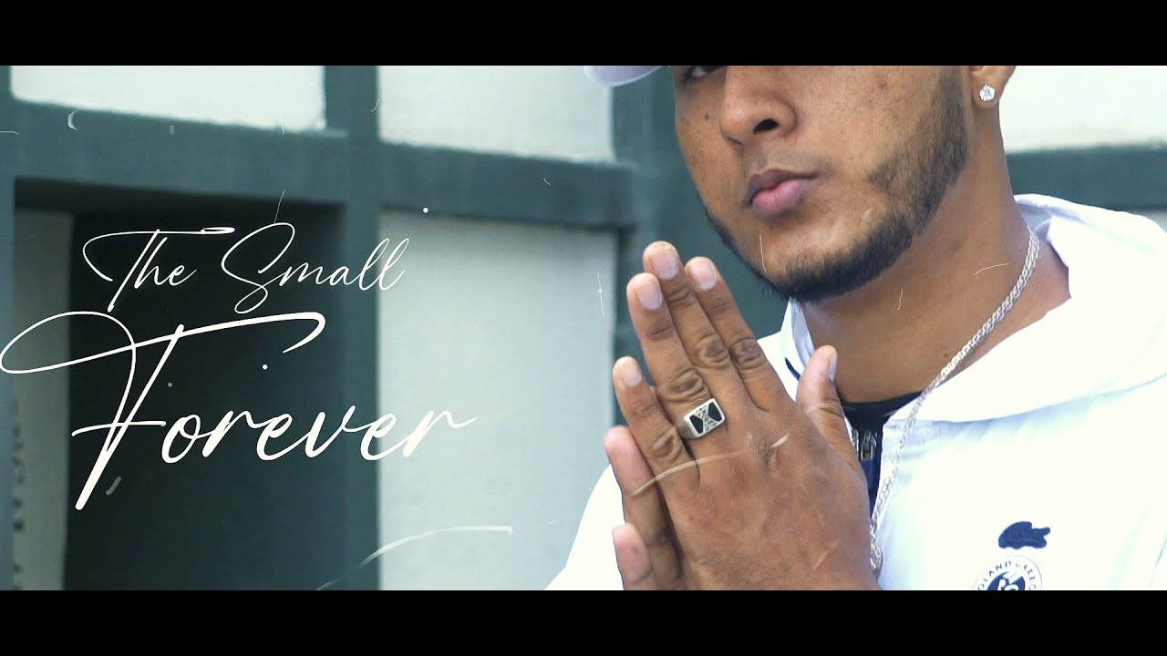 Niko Rayk _ The Small FOREVER _ (video oficial)