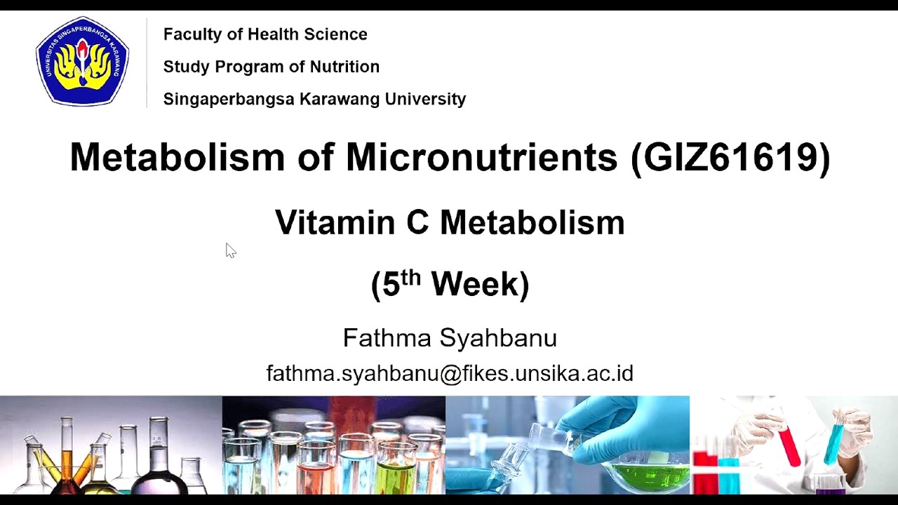 Metabolism of Vitamin C I PART 2