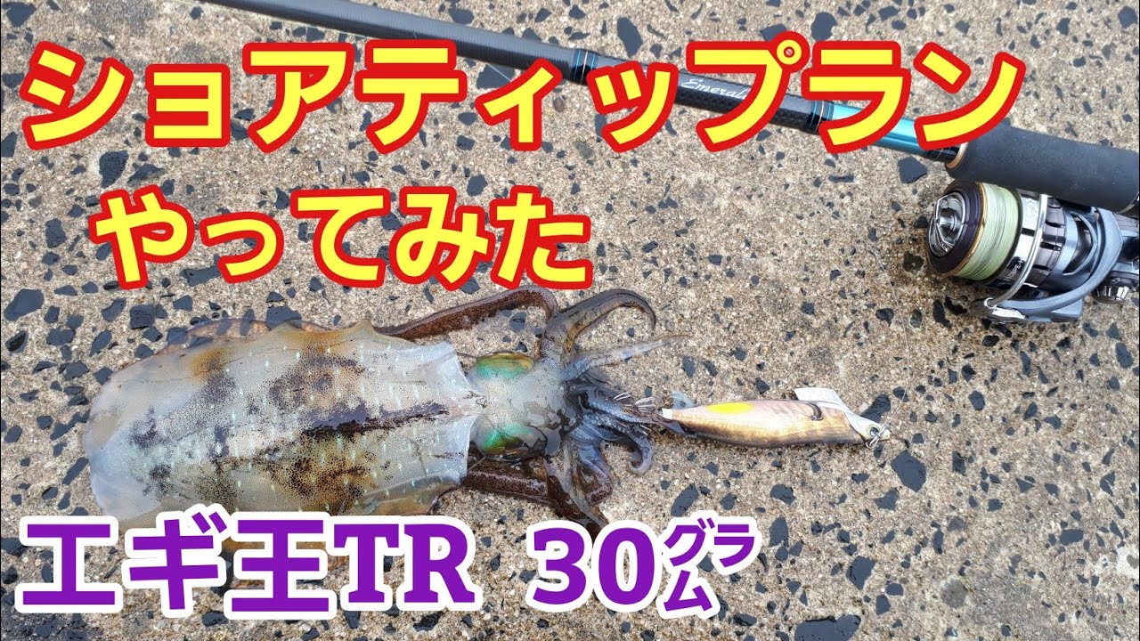 能登でショアティップランやってみた