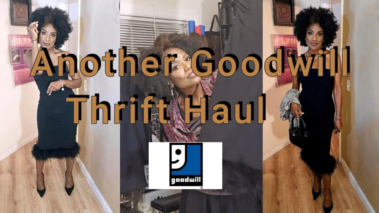 Yep! ANOTHER GOODWILL THRIFT HAUL